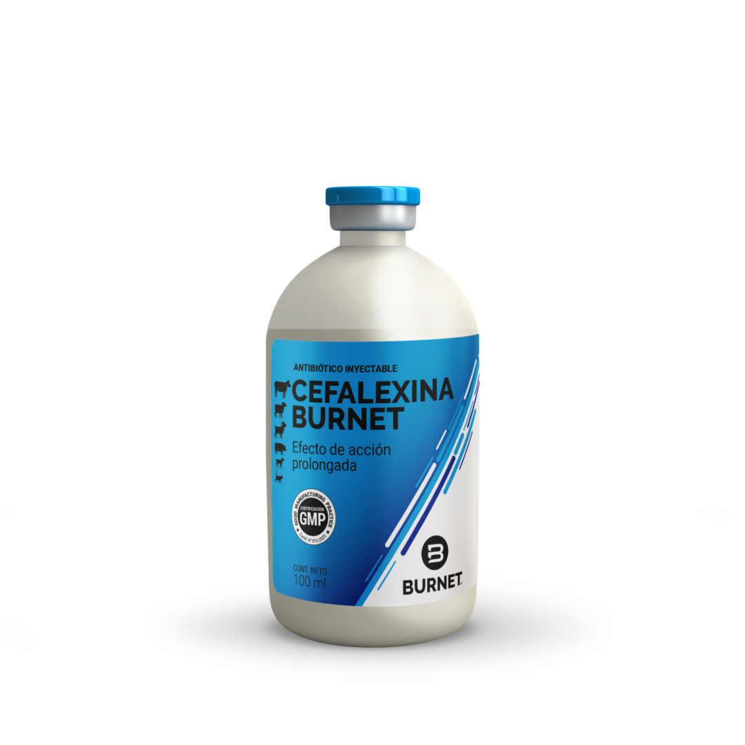 ESP_Cefalexina (100ML)
