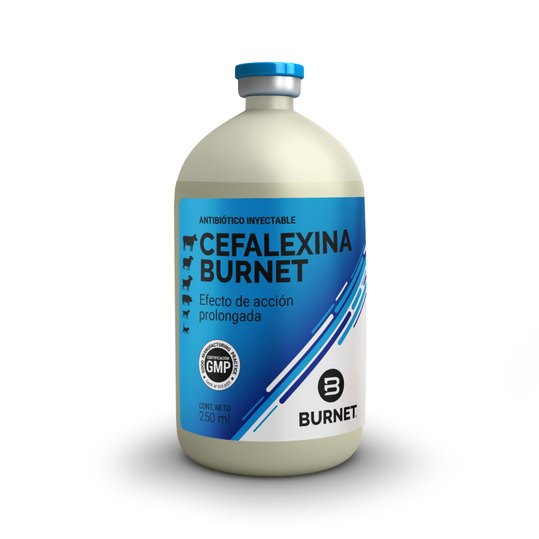 ESP_Cefalexina (250ML)