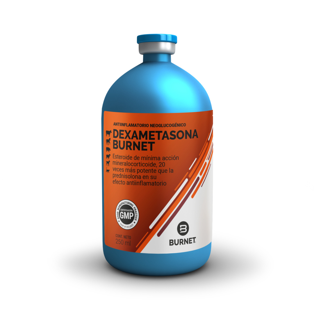 ESP_Dexametasona Burnet (250ML)