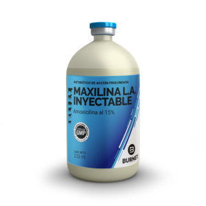 ESP_Maxilina LA (250ML)