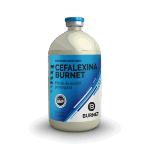 ESP_Cefalexina-250ML-1080x1080